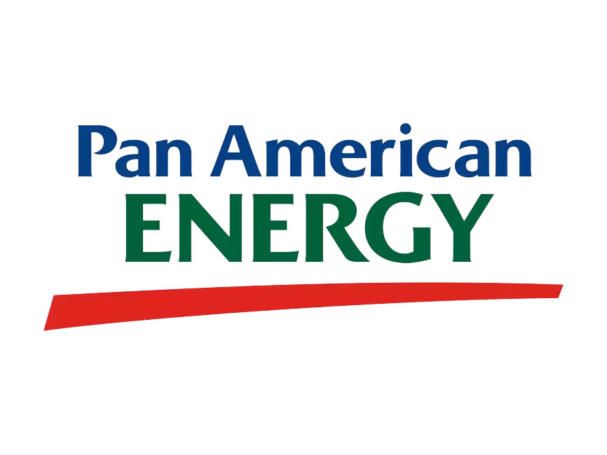 pae-pan-american-energy6600.logowik.com